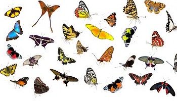 31 maart - 21 mei: Tijd om te landen op je eigen plek